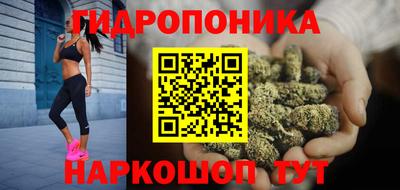хмурый Абакан