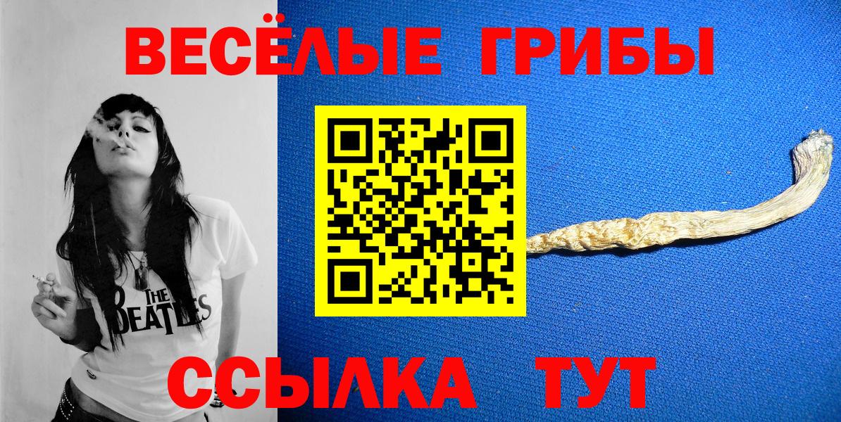 Псилоцибиновые грибы MAGIC MUSHROOMS  Вход с VPN  Абакан 