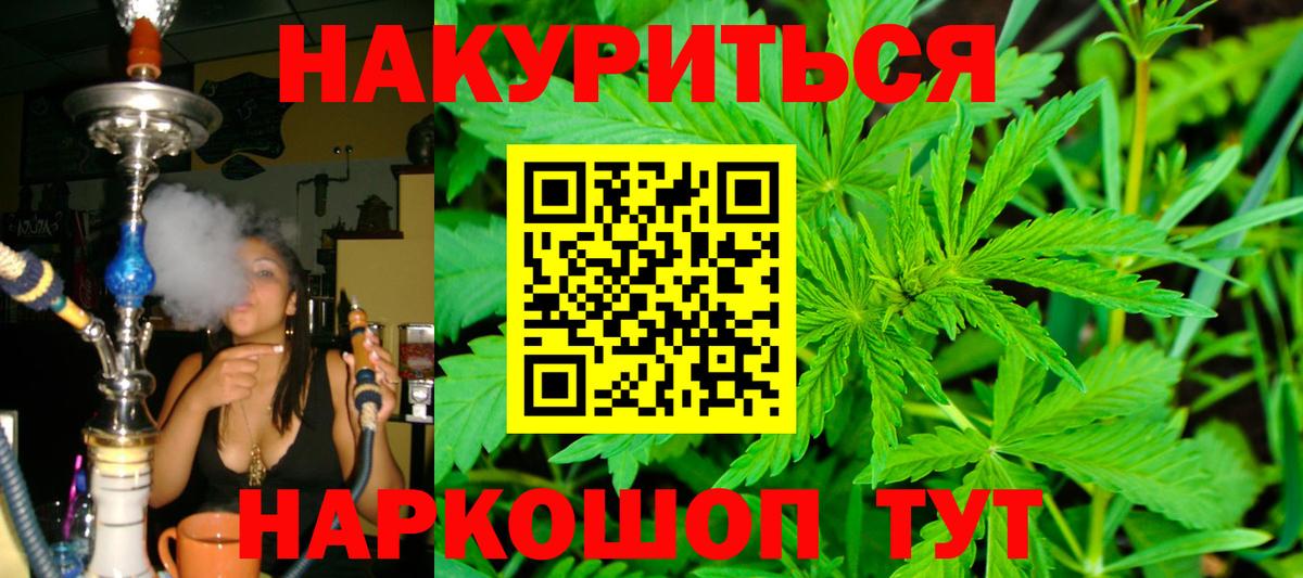Шишки марихуана план Абакан