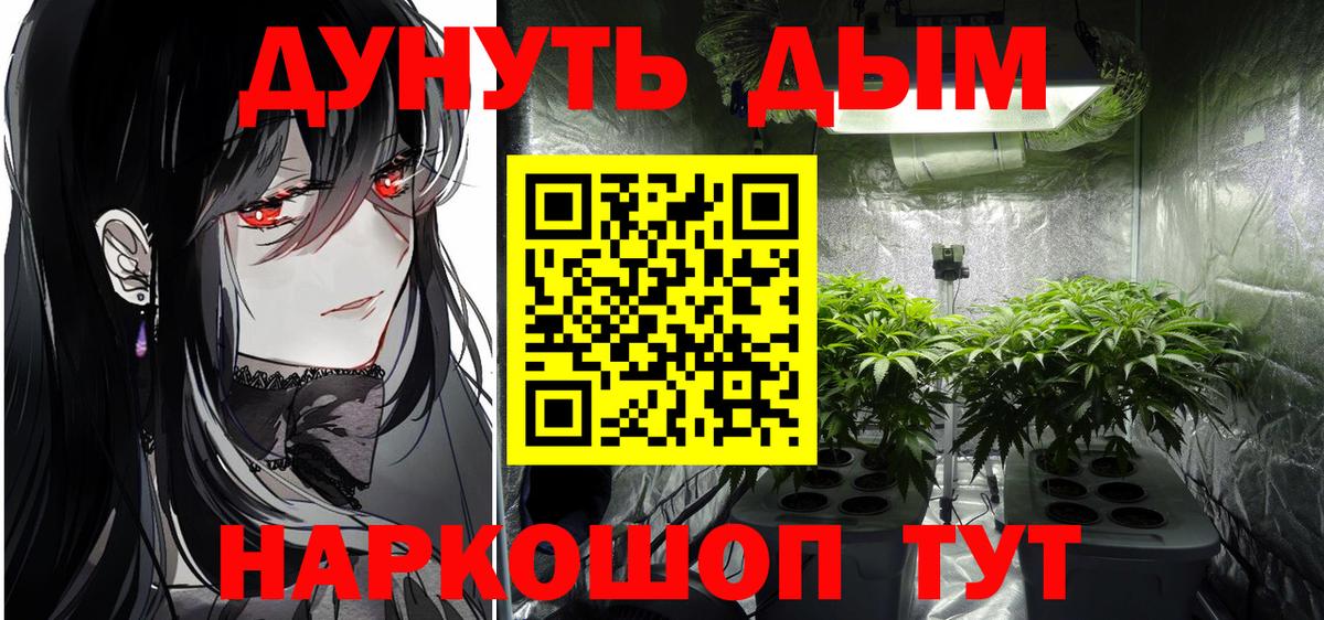Конопля планчик  Вход с VPN  Каннабис семена  Канабис OG Kush  Абакан  Конопля THC 21% 